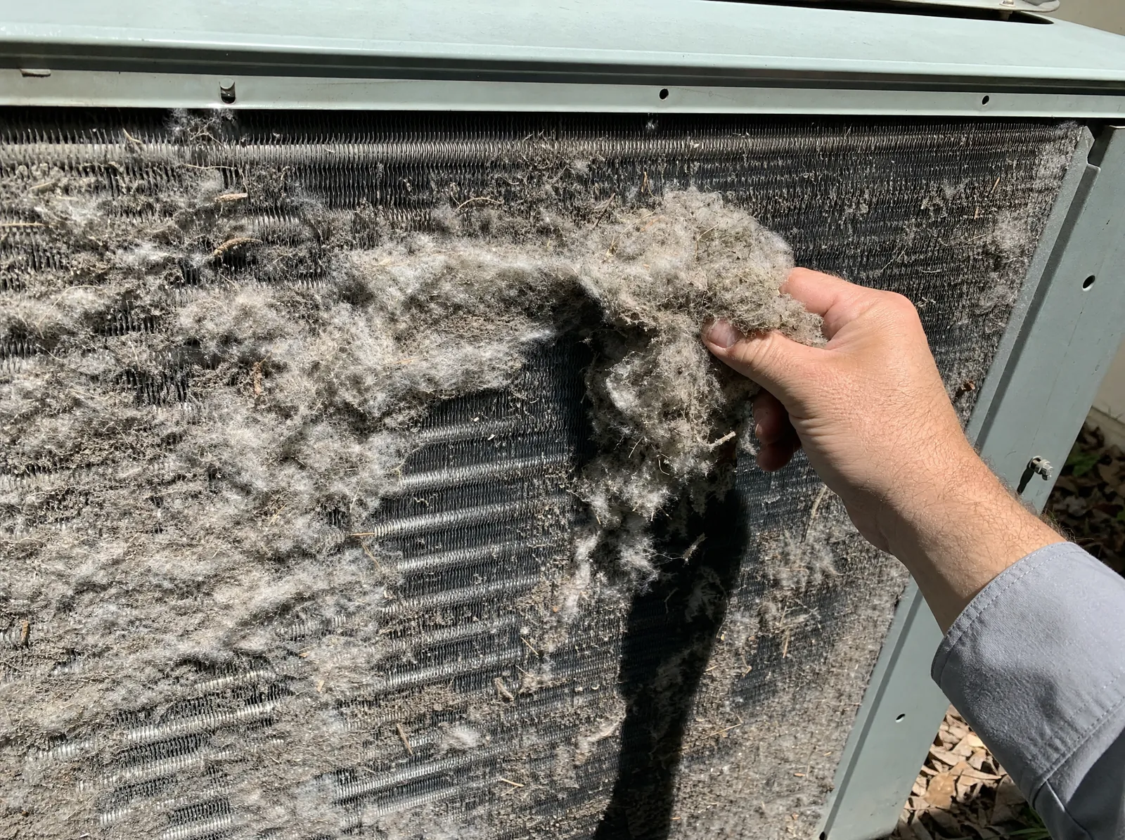 A hand pulls cottonwood fluff off a clogged outdoor condenser coil.